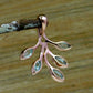 Nature inspired Leaf Pendant,Sterling 925 Silver Gemstone Pendant,Natural,Genuine Blue Topaz/Garnet/ Peridot,Amethyst,Anniversary Gift,