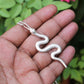 Silver Snake Pendant,Solid 925 Sterling Silver Good luck Gift Necklace,Symbolic Divinity Serpent Jewelry,Unisex Birth Day Jewelry,
